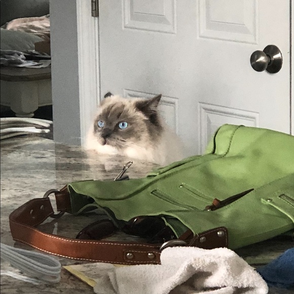 REBRANDING!! - Picture 12 of 13